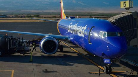 Southwest Airlines Co:  Unusual brutality