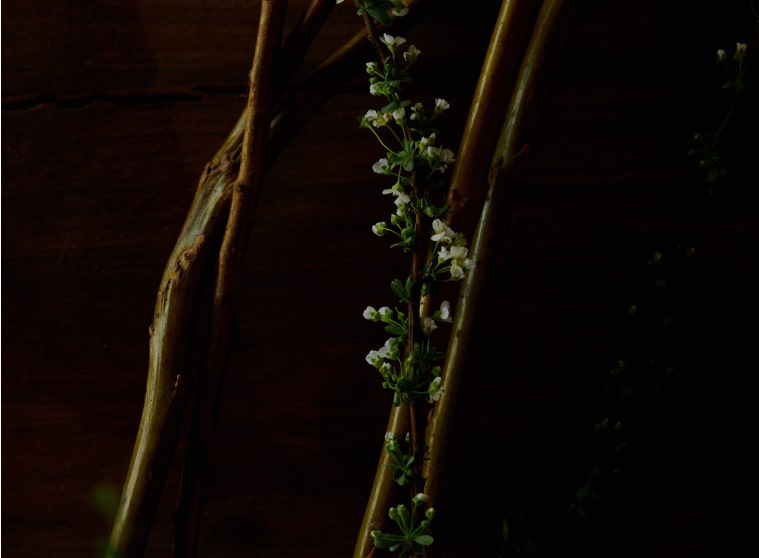 Inspiraion Image