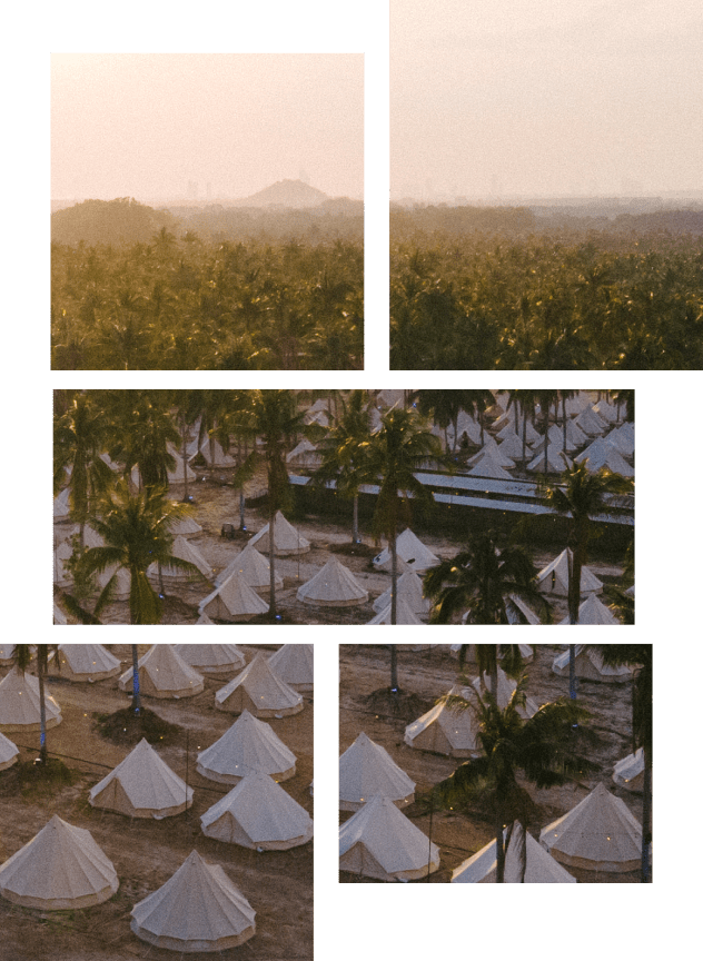 Camping Tents Among Palm Trees