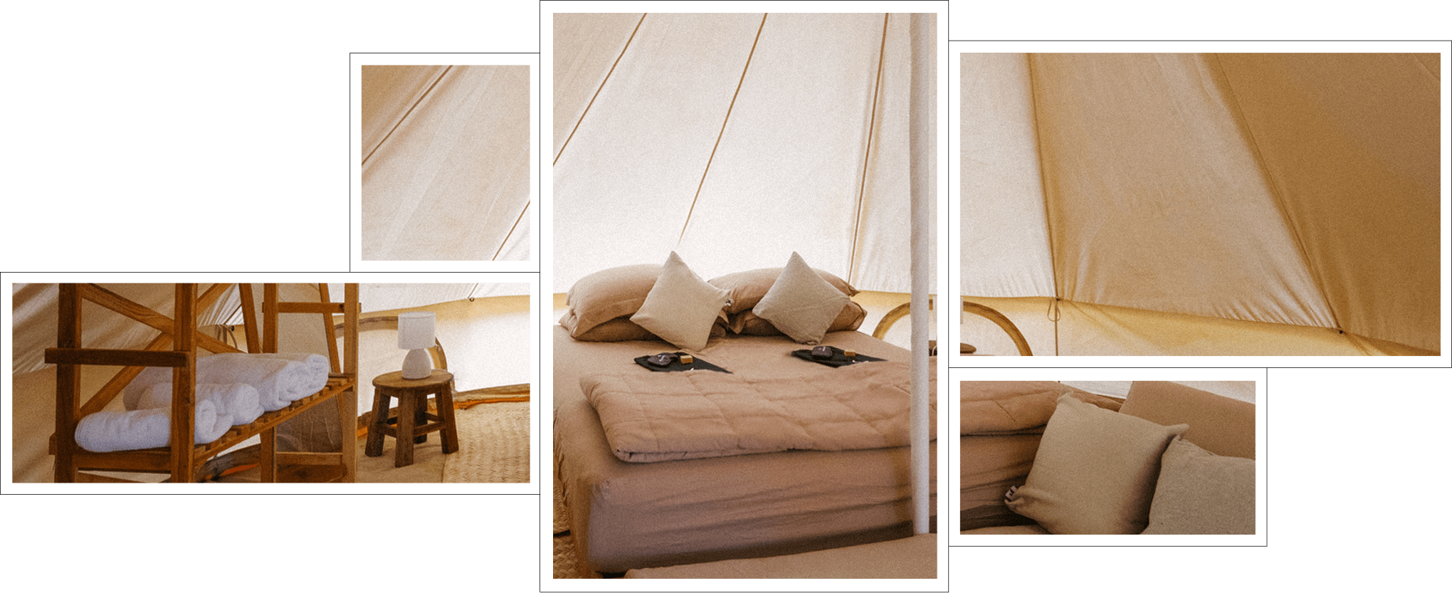 Camping Tents Among Palm Trees