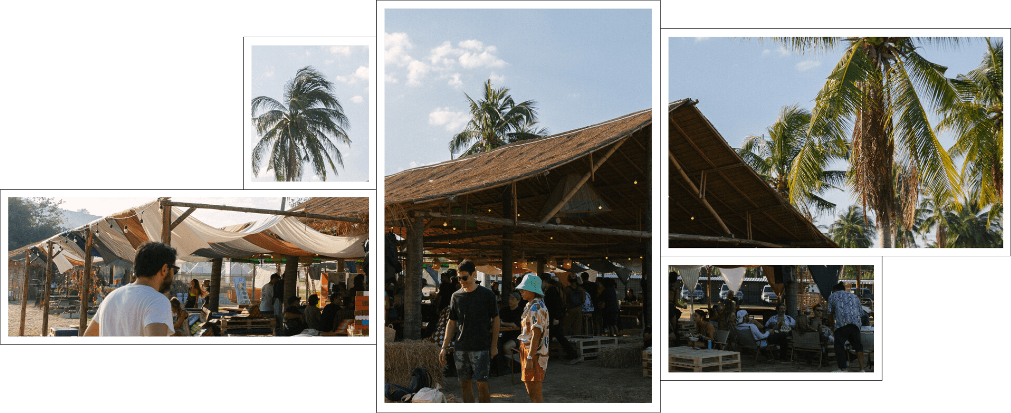 Camping Tents Among Palm Trees